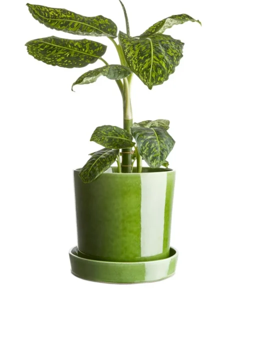 Stoneware Pot 22 Cm